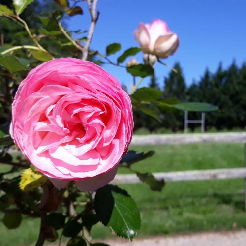Roulotte Belle Des Pr�s