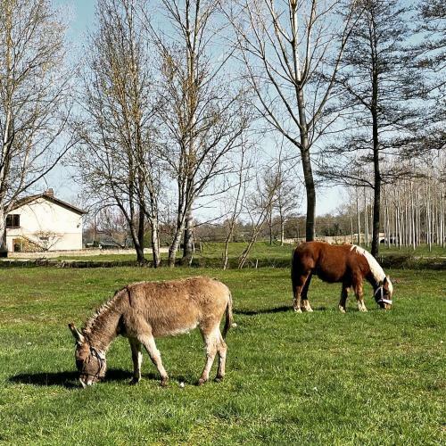 Bed & Breakfast Moulin De Pras