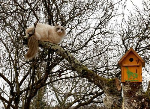 Bed & Breakfast Moulin De Pras