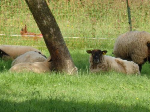 Bed & Breakfast Les Trois Pommiers