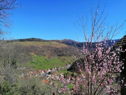 Apartamento Les Locations de St�phanie ,gite Le Verger