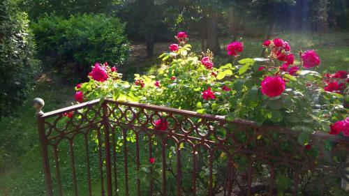 Domaine Du Para�s B&B