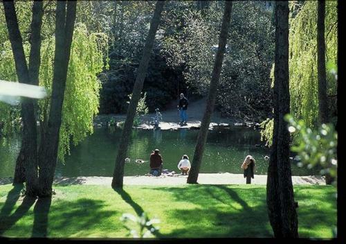 Apartamento Les Rivages de Coudouli�re