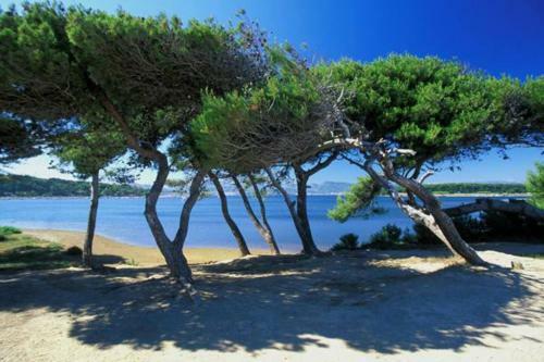 Apartamento Toit Terrasse Les Embiez