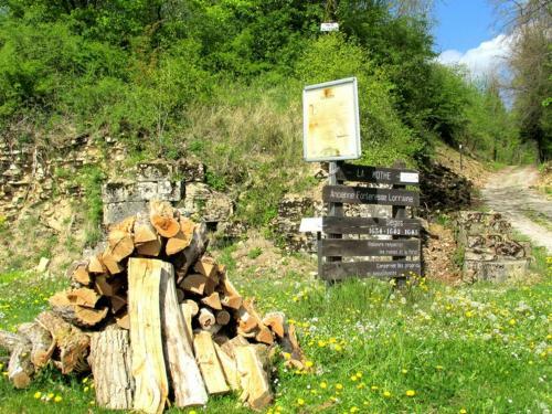Bed & Breakfast La Taniere Douce