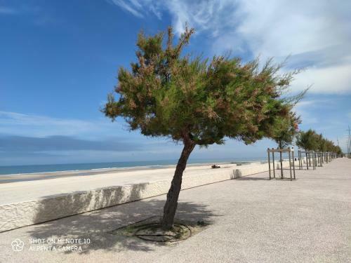 Apartamento Soulac C�t� Plage Vue Ocean