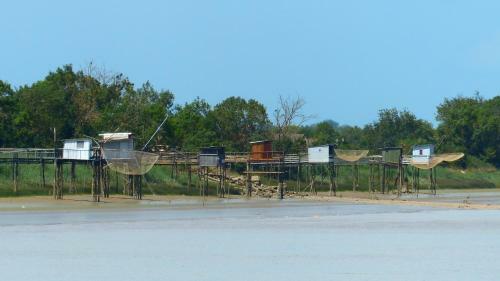 Un Havre de Paix Dans Les Pins Soulacais