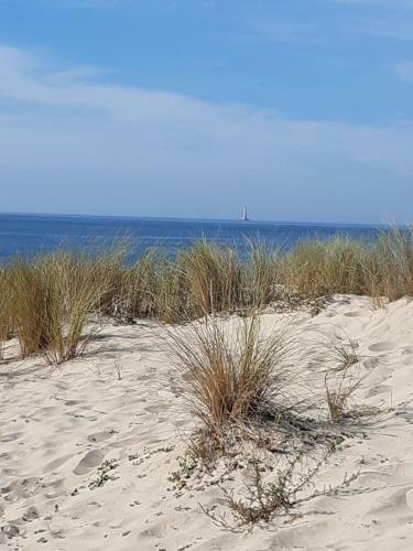 Apartamento Appt 40m2 R�sidence 3*** 10mn Plages