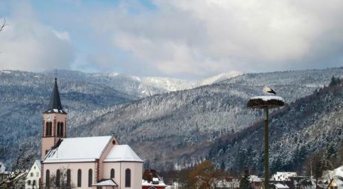 Apartamentos Les Studios Du Frankenthal