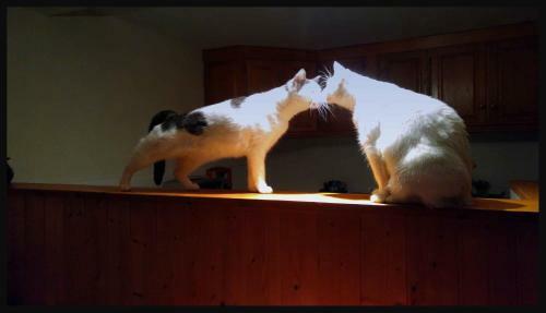 Bed & Breakfast Chez Sandrine