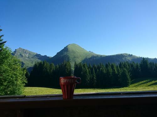 Apartamento Studio � La Montagne - Le Praz de Lys