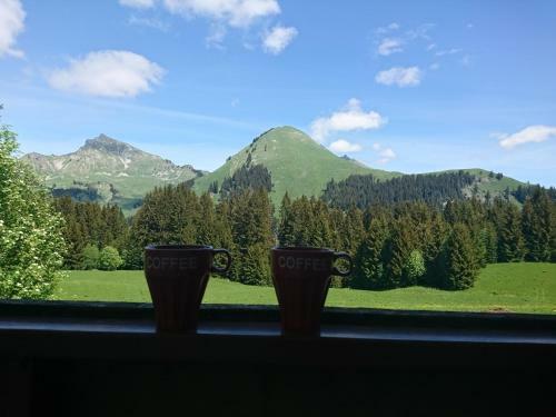 Apartamento Studio � La Montagne - Le Praz de Lys