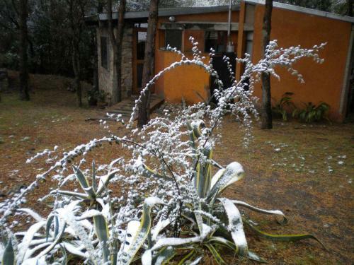 Lodge Domus-san Javier