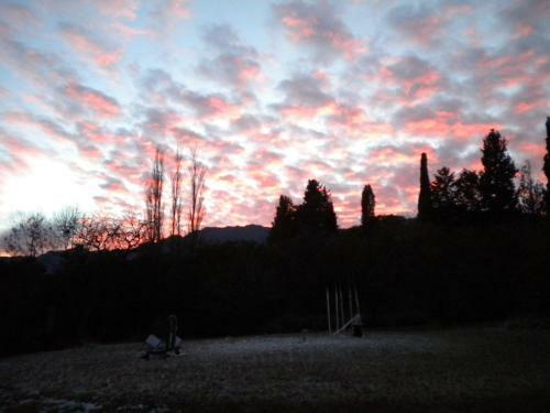 Lodge Domus-san Javier