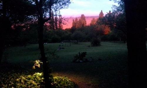 Lodge Domus-san Javier