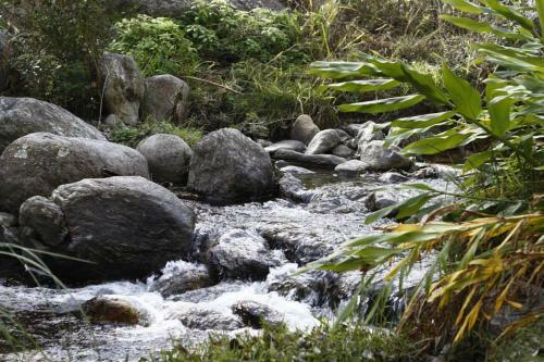 El Petrel Caba�as Y Spa De Campo