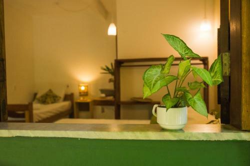 Hostal Pousada Sossego