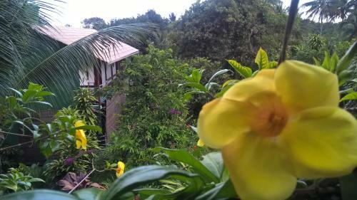 Hostal Recanto Solar Da Paz