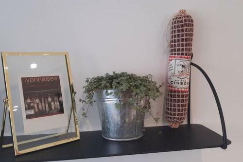 Apartamento Le Burlat - Studio - Lyon - Tassin