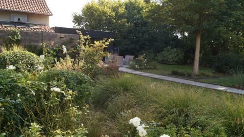 Bed & Breakfast Les Terrasses de Templeuve