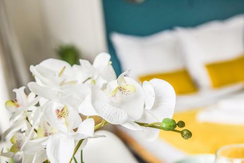 Apartamento Le Petit Vauban