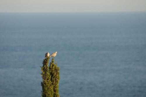 Apartamento Appartamento Vista Mare