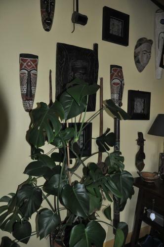 Bed & Breakfast Villa Le Cloky
