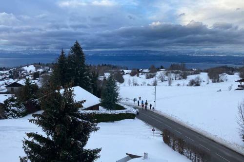 Apartamento Duplex En Station Vue Sur Lac Leman