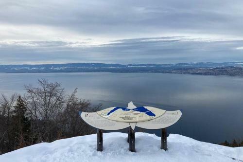 Apartamento Duplex En Station Vue Sur Lac Leman