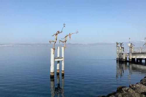Apartamento Duplex En Station Vue Sur Lac Leman
