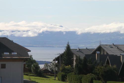 Apartamento Studio Entre Ciel Et Lac