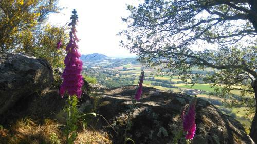 La Ferme D'helyette