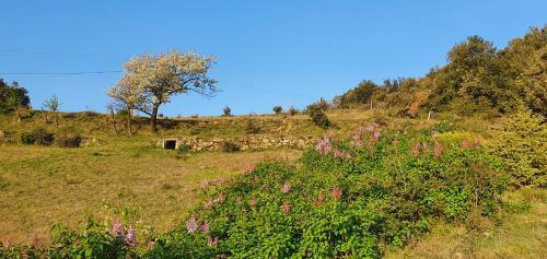 La Ferme D'helyette