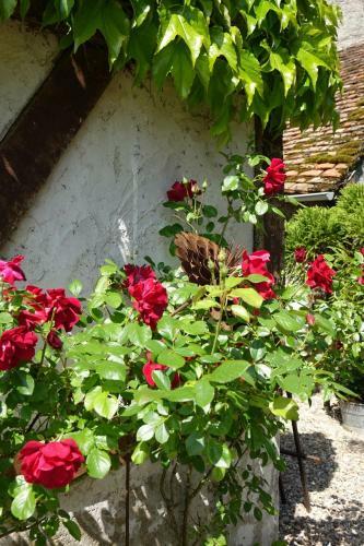 G�te Le Montillon