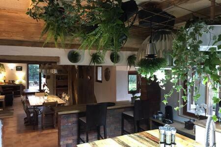 Le Pressoir Marie-claire
