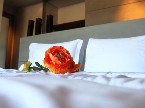 Hostal Pousada Chic