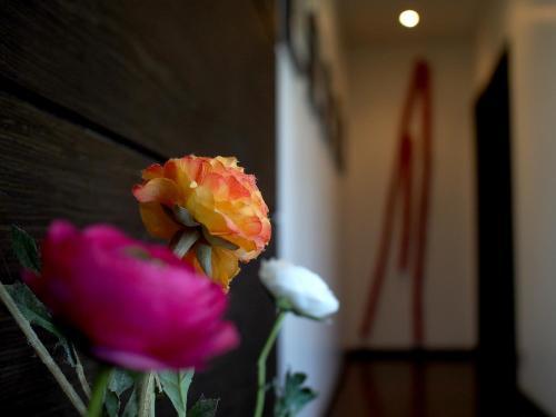Hostal Pousada Chic
