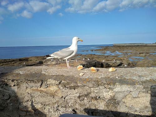 Bed & Breakfast La Rose Des Mers