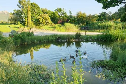 Villa Propri�t� Exceptionnelle � 25km D?aix En Provence - 8 Guests