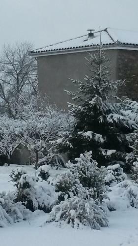 Le Chalet Hautes Pyr�n�es