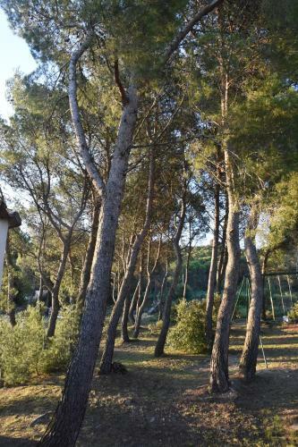 Apartamento G�te Dans Villa Proven�ale Sous Les Pins