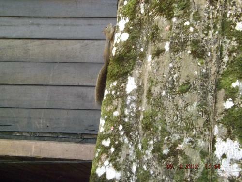 Hostal Pousada Quintal Das Pedras