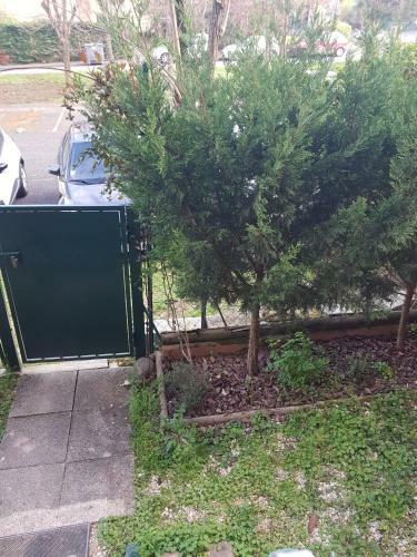 Apartamento Laurier