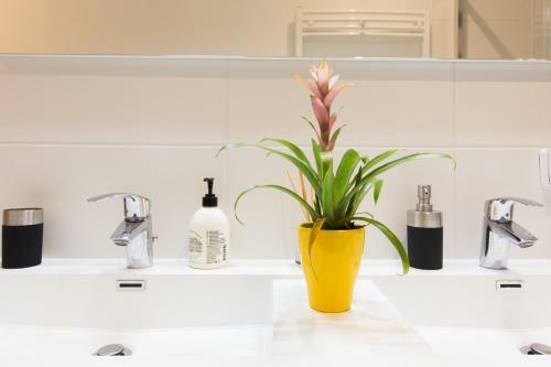 Apartamento Hyper Centre Toulouse : T3 � Jeanne D Arc
