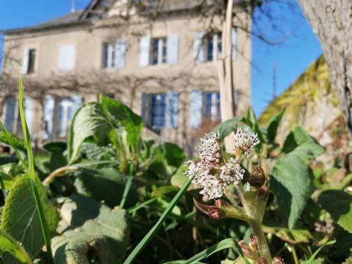 Bed & Breakfast Le Temps Serein