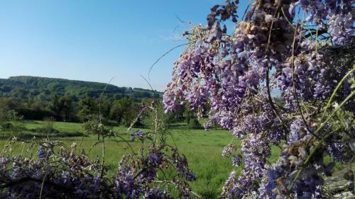 Bed & Breakfast Le Temps Serein