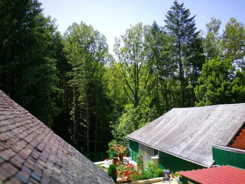 Apartamento R�sidence Le 09