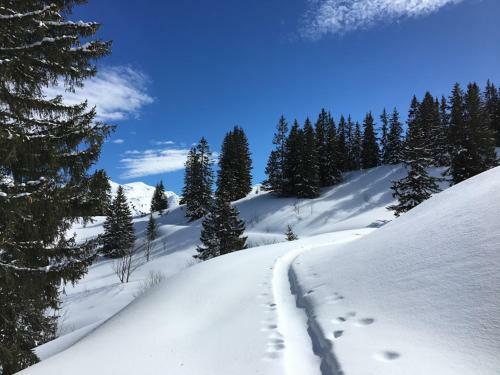 Hostal Atelier Des Sapins Blancs (Chambre Double)