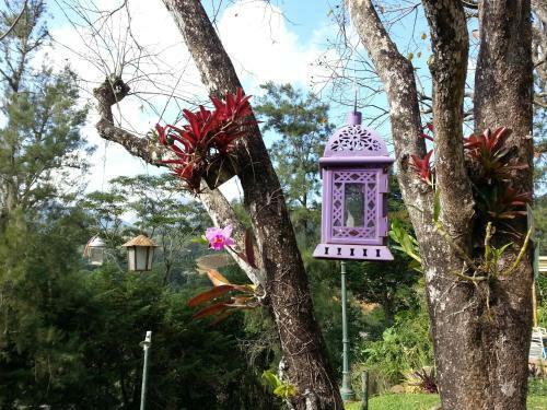 Hostal Estalagem Das Casuarinas