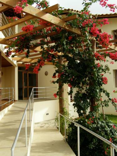 Hostal Pousada Bem-te-vi Tabatinga